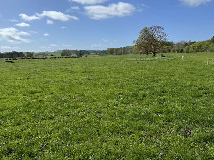 260 Maihiihi Road Maihiihi_27