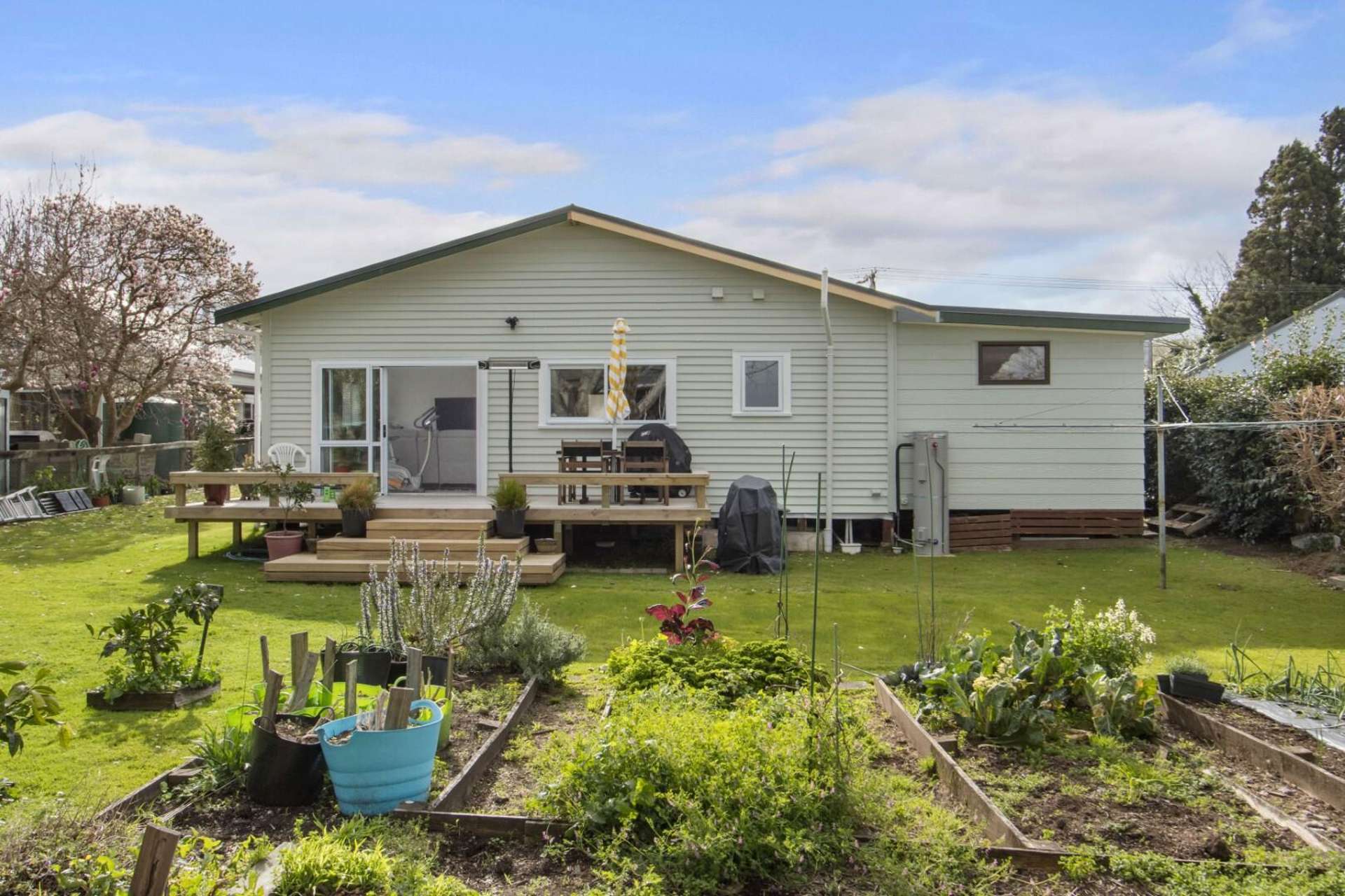 33 Bradford Street Waihi_0