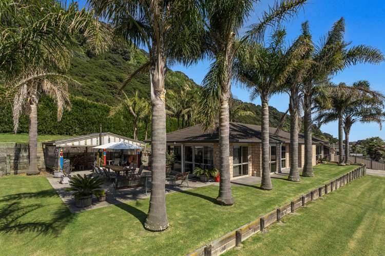 87 Pakeha Street_0