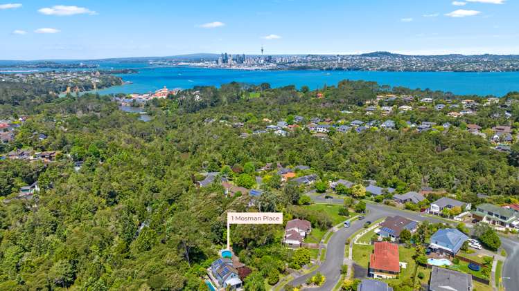 1 Mosman Place Chatswood_10