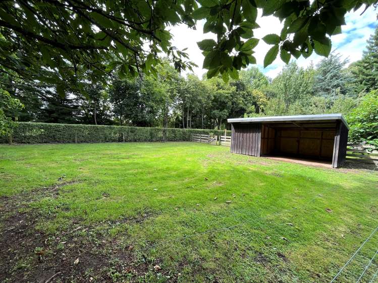 109 Butcher Road Matangi_5