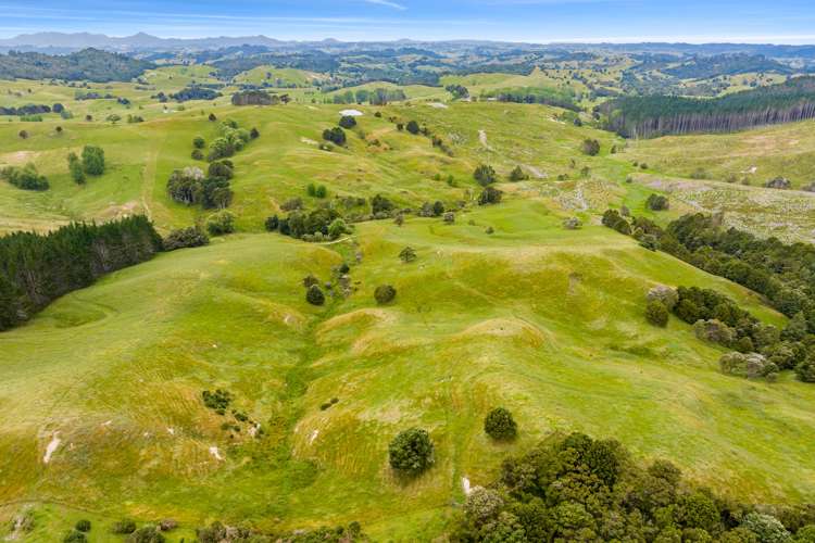 1228a Bull Road Paparoa_15