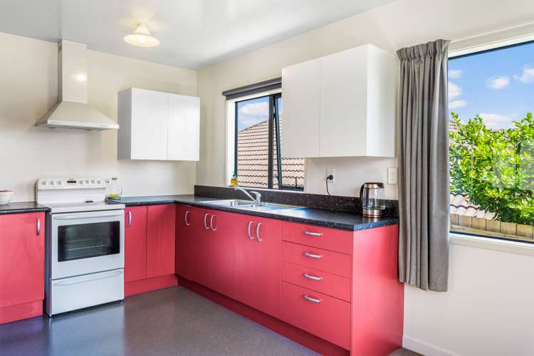 116 Palmers Road Clendon Park_6