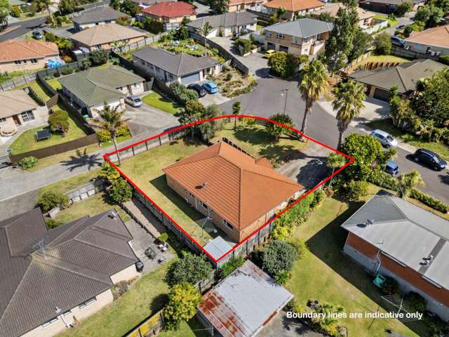 3 George Arthur Place Pukekohe_4