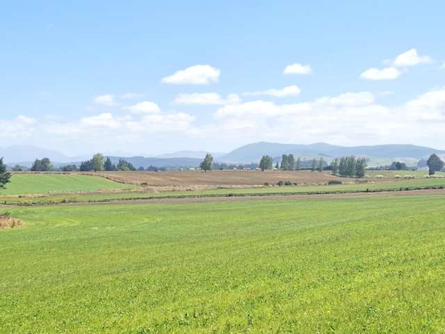 Rare Lifestyle Opportunity!