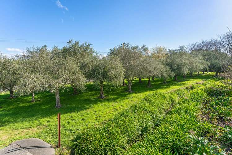 108 Greenwood Boulevard Otaki_30