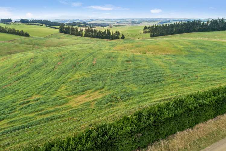 Lot 1 and 2 Pinnacle Road Gore_15