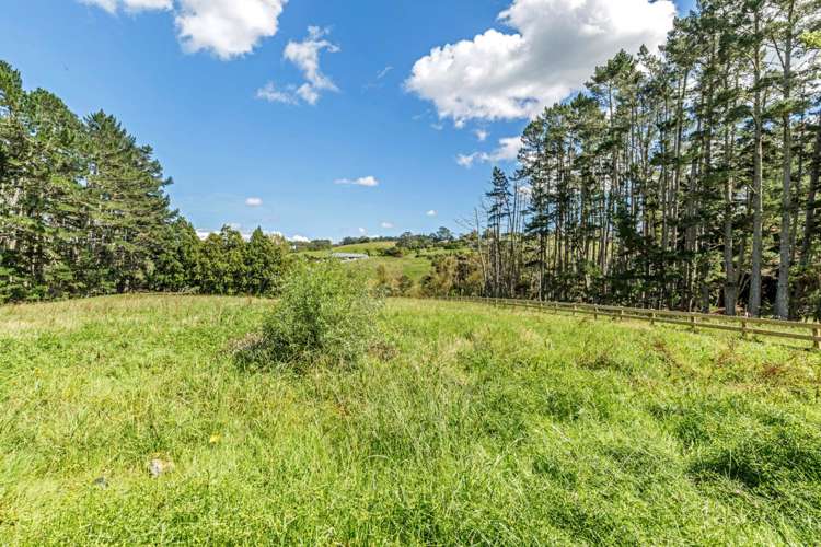 631d Dairy Flat Highway Dairy Flat_25