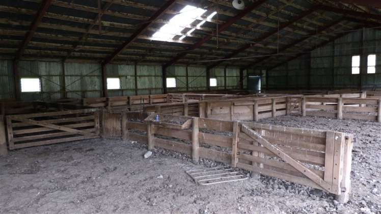 44 Rodgers Road Catlins Surrounds_12