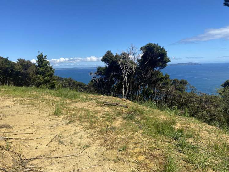 Lot 4/303 Waiaua Road Hihi_18