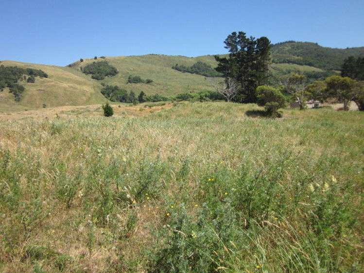 2 Blakes Approach Mahia_7