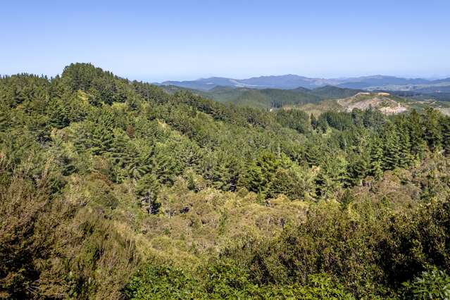 Bismark Road Te Wharau_1