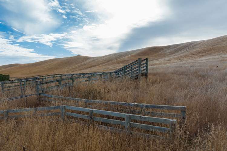 109 Haldons Road Seddon_20