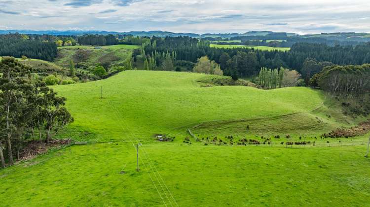 1241 Blythe Road Domett_21