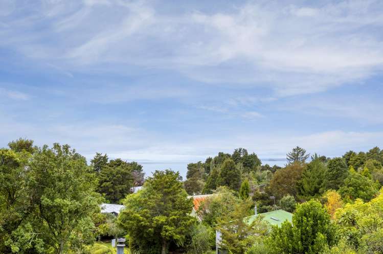 20 Te Kuru Lane Pukawa_17