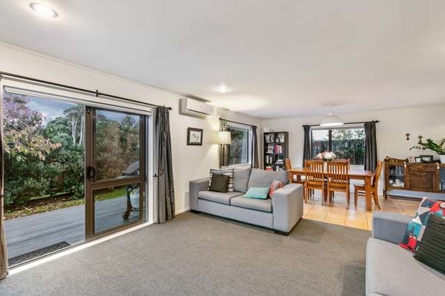 199h Captain Springs Road Onehunga_3