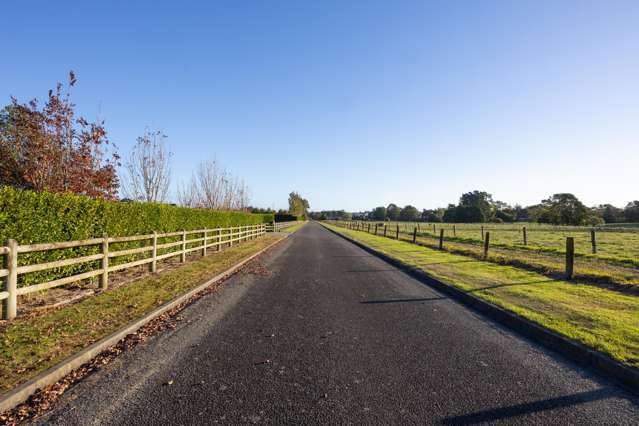 53 Memory Lane Ashhurst_3