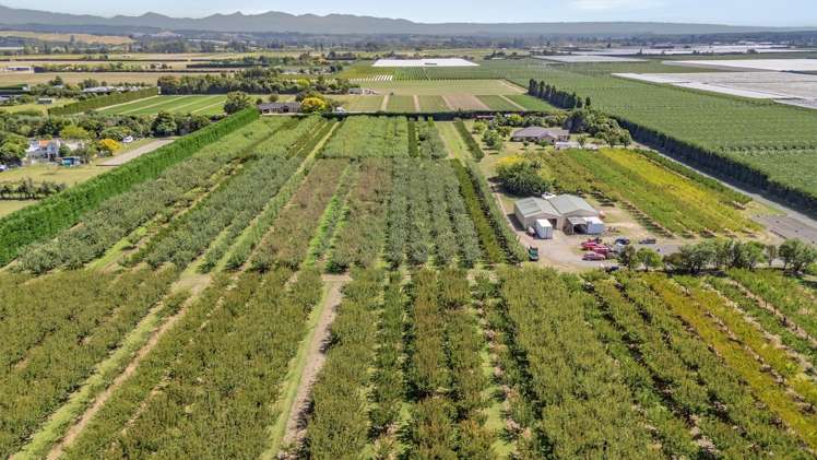 122 Pugh Road Hope_20