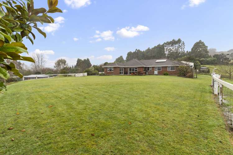 20h Brighton Road Green Island_29