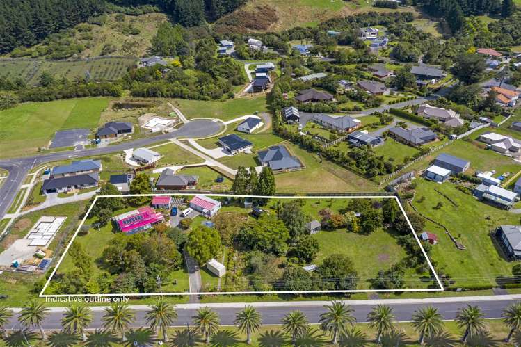 160 Parry Palm Avenue Waihi_2