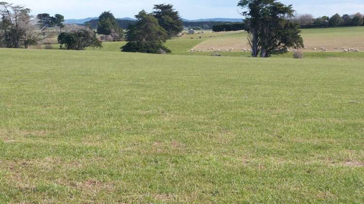 941 Riverton Wallacetown Highway Southland_1