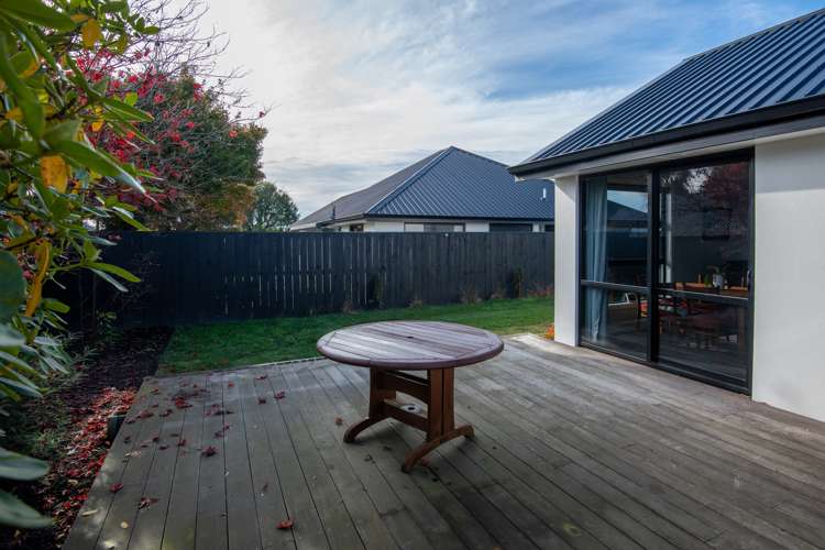 55 Harrison Street Allenton_17