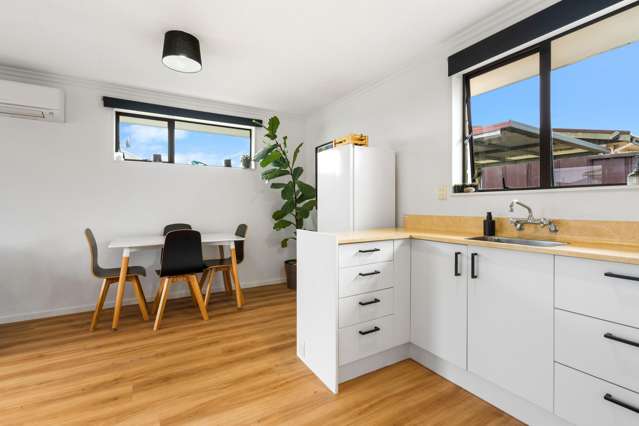 227E Oxford Street South Dunedin_4