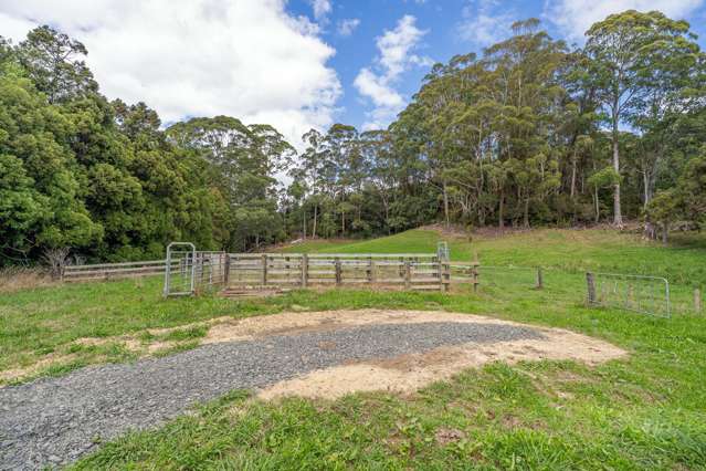 889 Tairua Whitianga Road Whenuakite_1