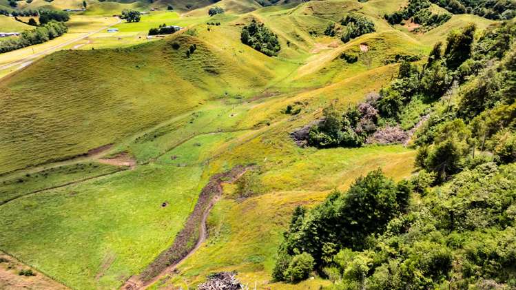 162 Standish Road Toko_18