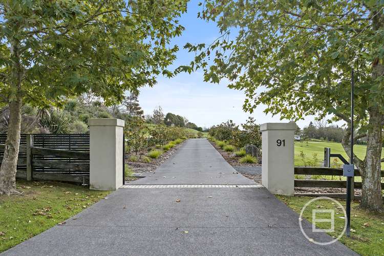 91 Grace Hill Drive Dairy Flat_20