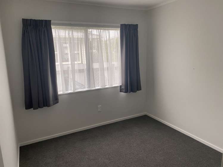 36a Black Beech Street Birchville_8