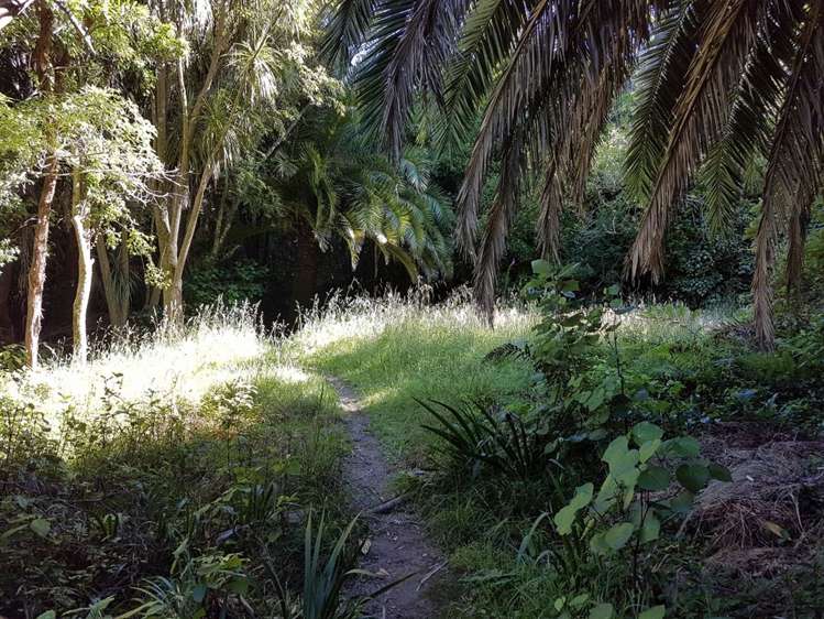 Torea Moua Bay Marlborough_14