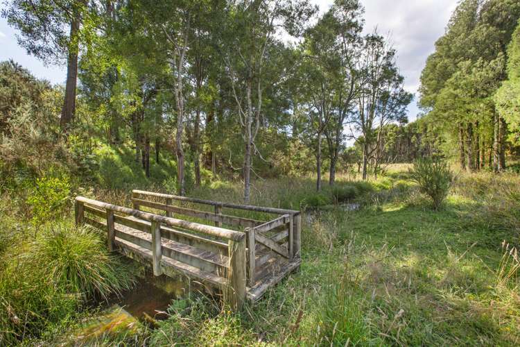 48 Pond Road Raglan_7