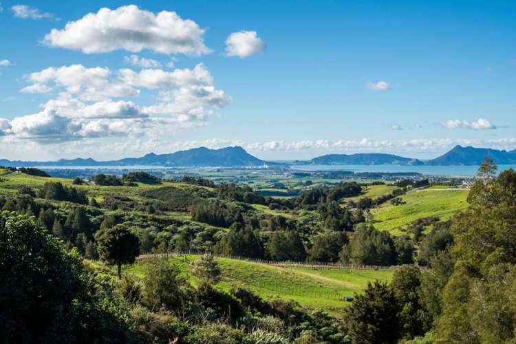 33c Keith Road Ruakaka_29