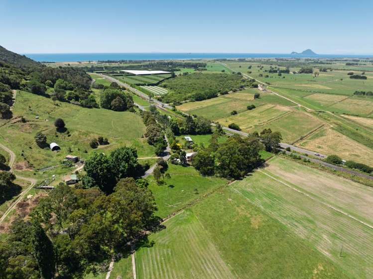 261 Manawahe Road Matata_33