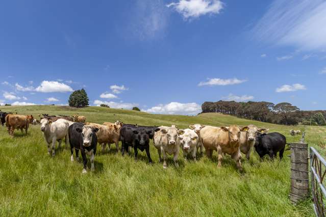 235 Otope Road Dannevirke_3