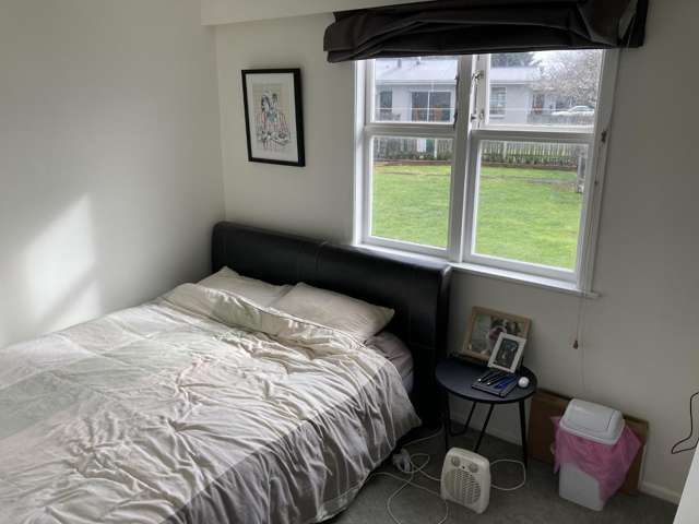 19 Freyberg Street Masterton_4