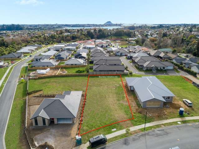 10 Hass Drive Ohauiti_1