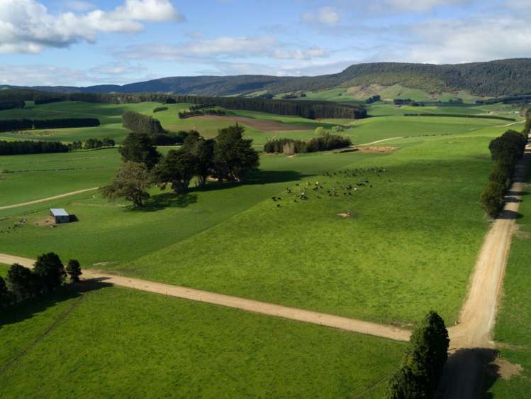 380 Matheson Road Catlins Surrounds_0