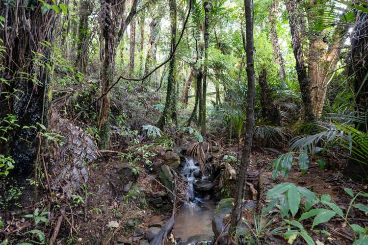 315 Rangihau road Whitianga_22