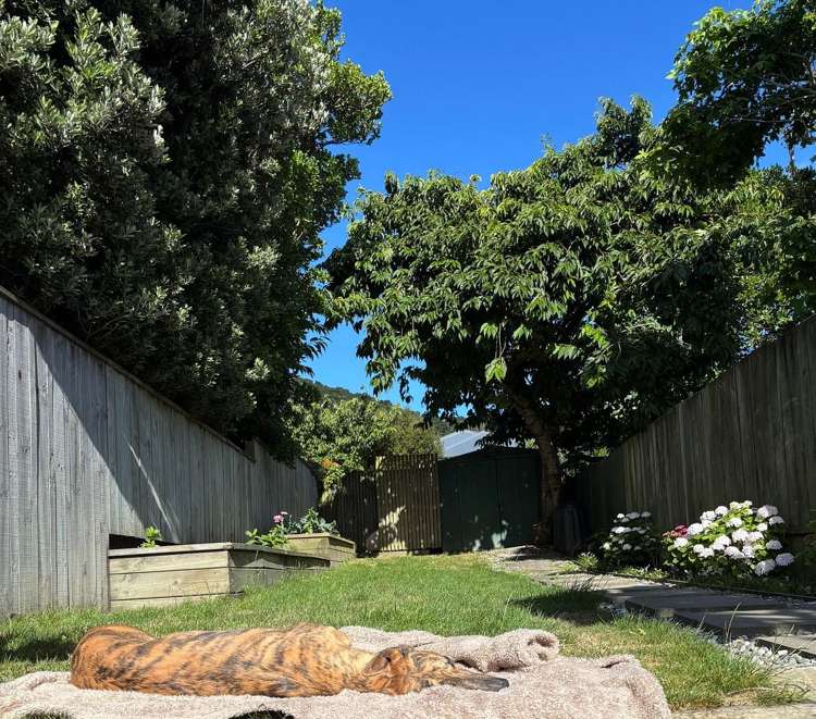 246 Adelaide Road Newtown_11