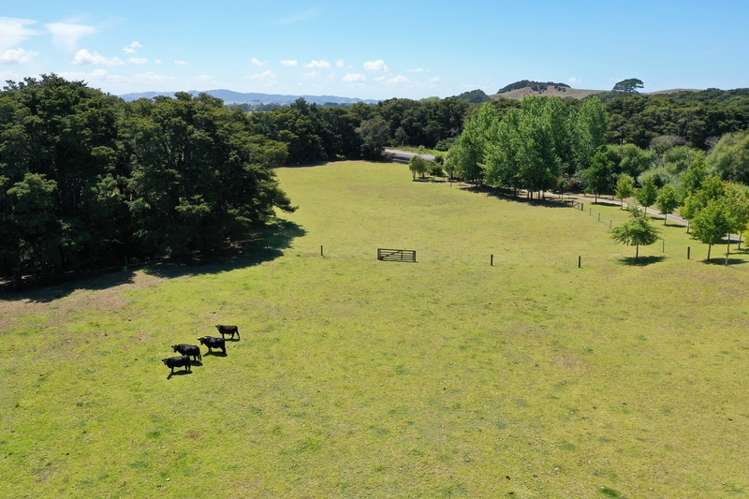 287 Mclean Road Waipu_7