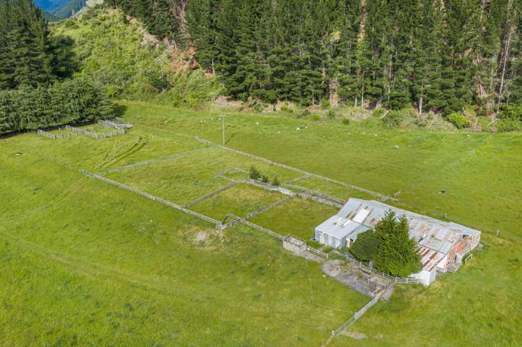 3366 Waihopai Valley Road Waihopai Valley_39