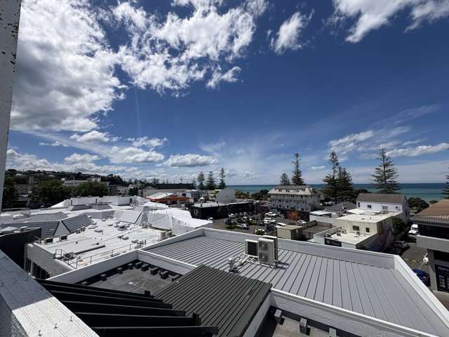 180-190 Dalton Street Napier South_3