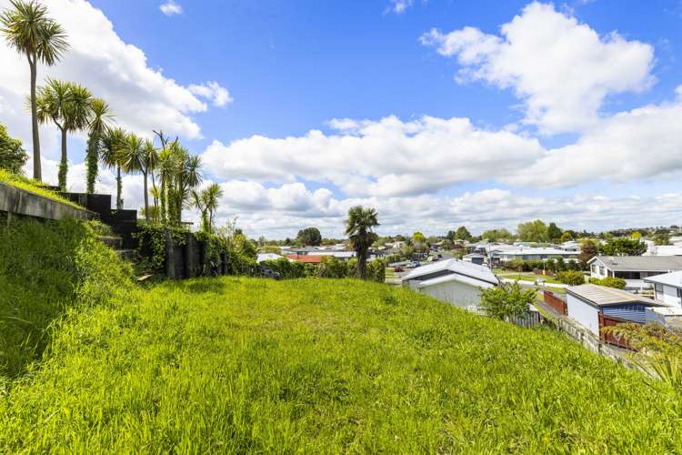 29a Pringle Place Nawton_2