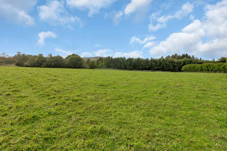 Springs Road Poroti_9