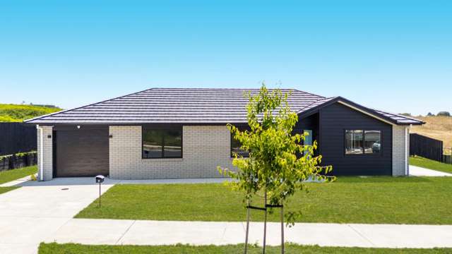 3/Maniapere Road Te Kauwhata_2