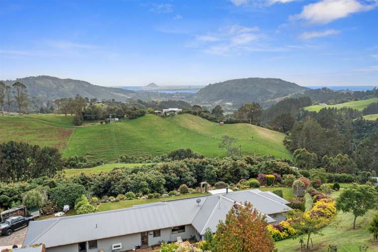 80b Kaiate Falls Road Kaimai_18