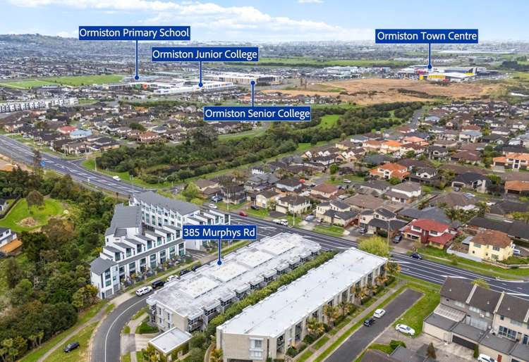 385 Murphys Road Flat Bush_19