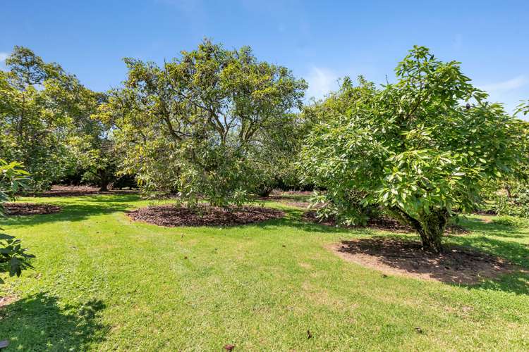 96 Cemetery Road Maunu_32